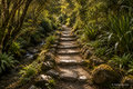 Te Ara Pūmau – Weekly (4 Sessions)